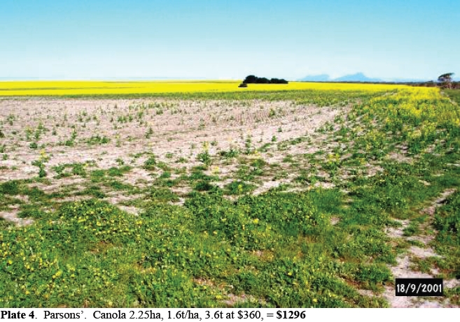 Economic and environmental impacts of rabbits in Australia - PestSmart