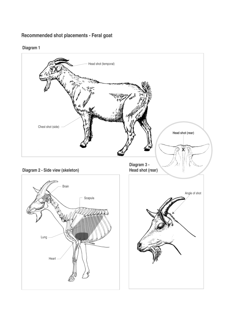 NATSOPGOA004 National Standard Operating Procedure Trapping of feral