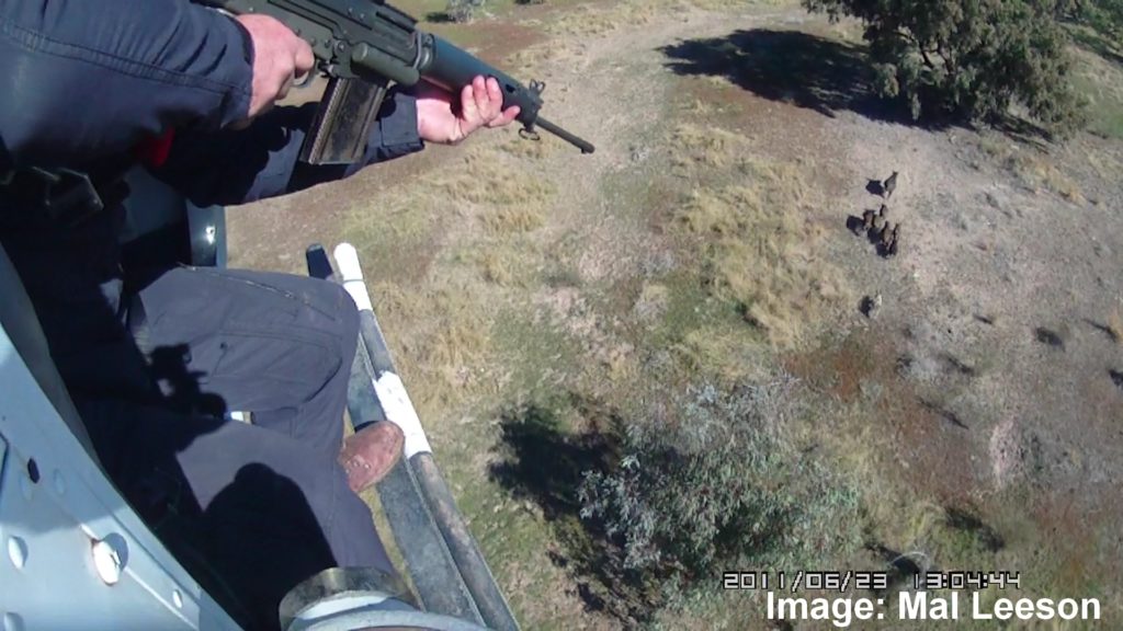 NATSOPPIG002 National Standard Operating Procedure Aerial shooting of