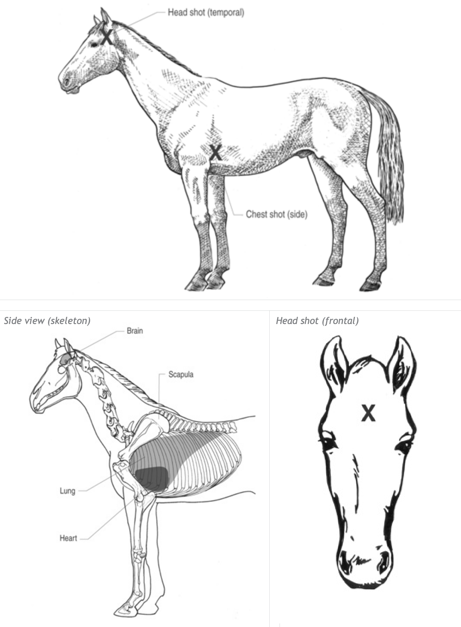 NATSOPHOR002 National Standard Operating Procedure Aerial shooting of