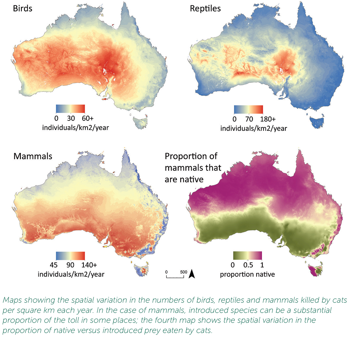 Impact of feral cats in Australia PestSmart
