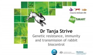 Genetic resistance, immunity and transmission of rabbit biocontrol