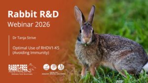 Optimal use of RHDV1-K5 and avoiding immunity | Rabbit R&D Webinar 2026