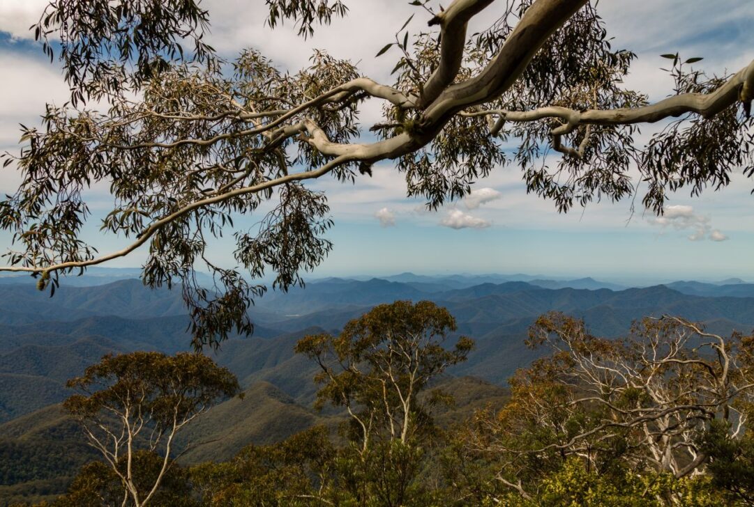 Natural Australian landscape.