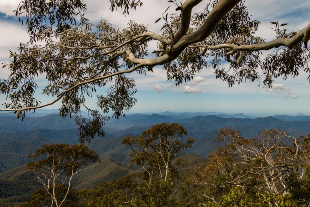 Natural Australian landscape.