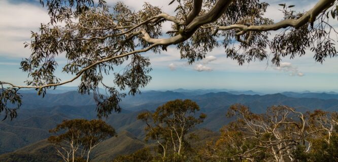 Natural Australian landscape.