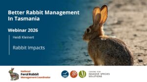 Rabbit impacts | Better rabbit management in Tasmania
