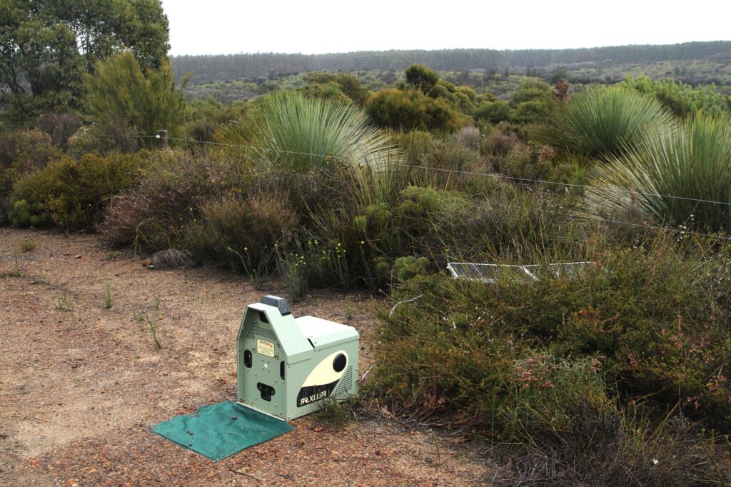 Felixer grooming trap